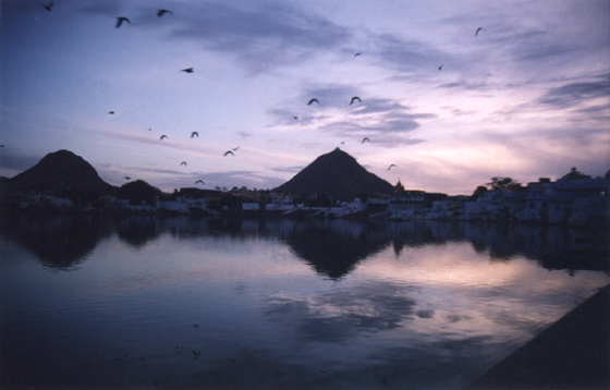 untitled-1.jpg